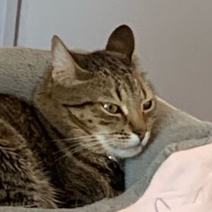 Meet your Posher, Lillian